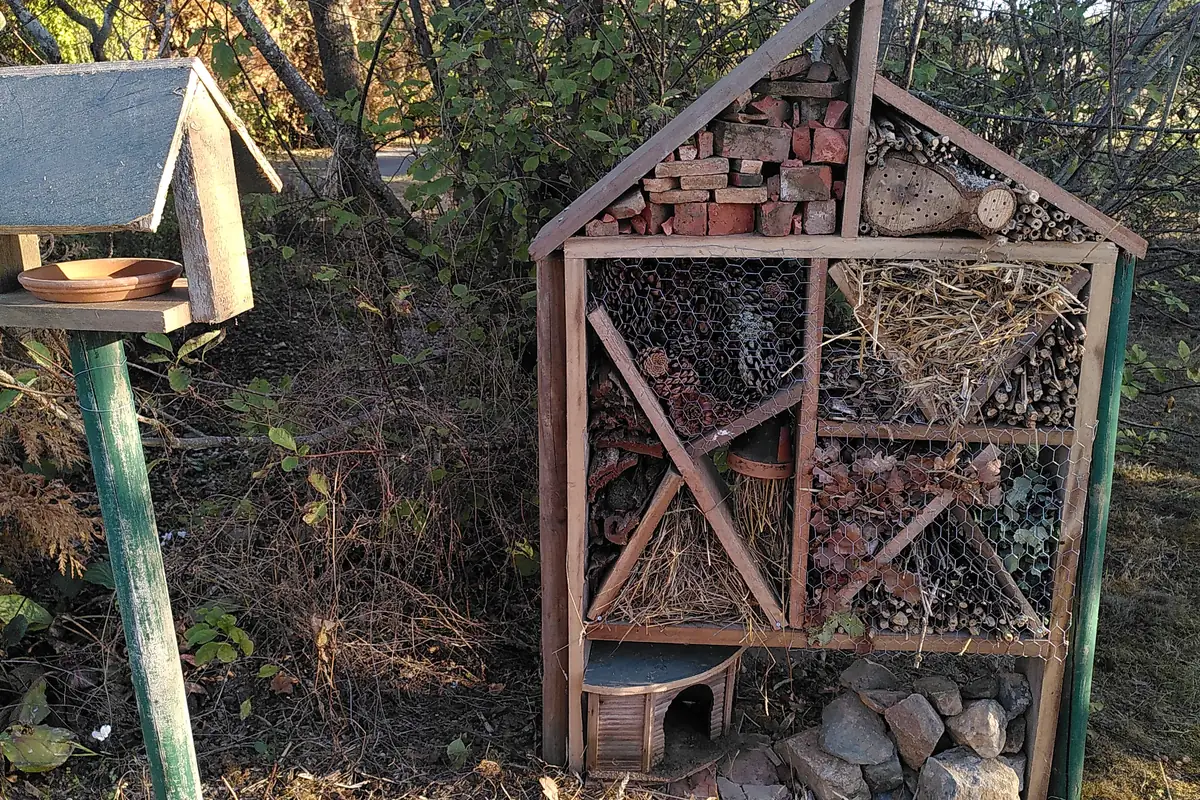 Le premier hôtel à insectes de Bel-Air, installé au bord d'une haie, à côté d'une mangeoire à oiseaux.